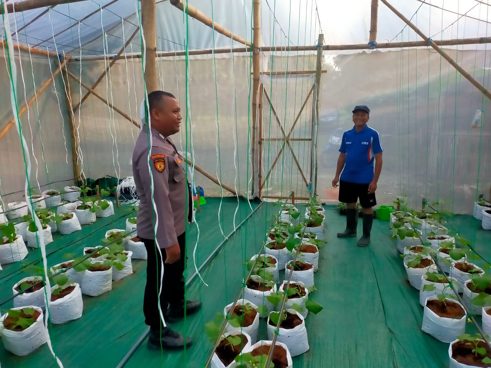 Dukung Arahan Presiden, Personel Polsek Dukun Sambangi Petani Melon di Mojopetung Gresik