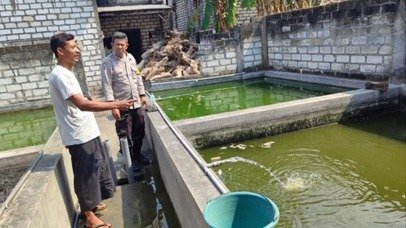 Pastikan Produksi Lele Tetap Optimal, Polsek Bungah Lakukan Pengecekan di Indrodelik