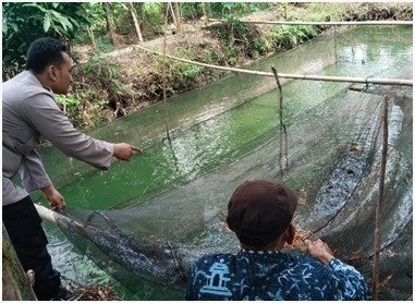 Dukung Ketahanan Pangan Nasional, Polsek Benjeng Cek Budidaya Lele di Desa Bengkelolor