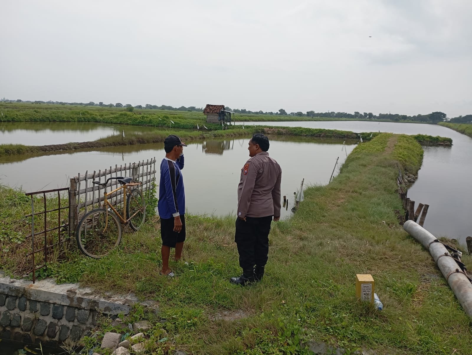 Polsek Duduksampeyan Pantau Tambak Ikan di Wadak Kidul, Perkuat Dukungan Ketahanan Pangan Nasional