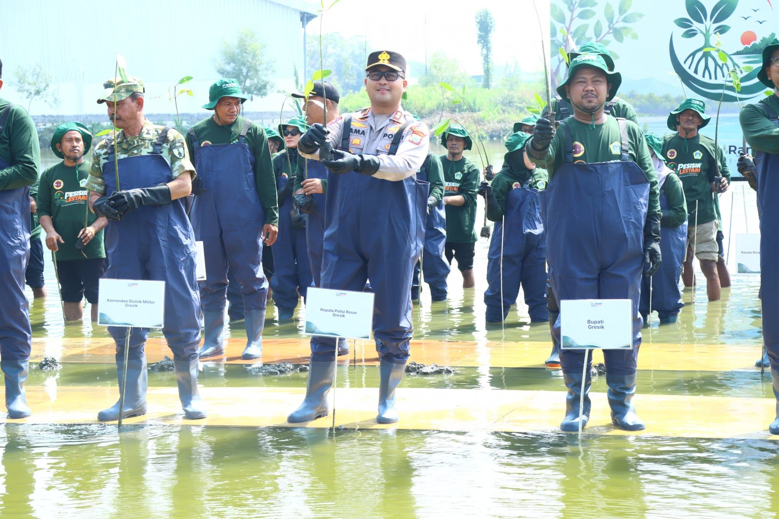 Polres Gresik Bersama Forkopimda dan PT Smelting Tanam 10.000 Mangrove di Randuboto, Jaga Ekosistem Pesisir