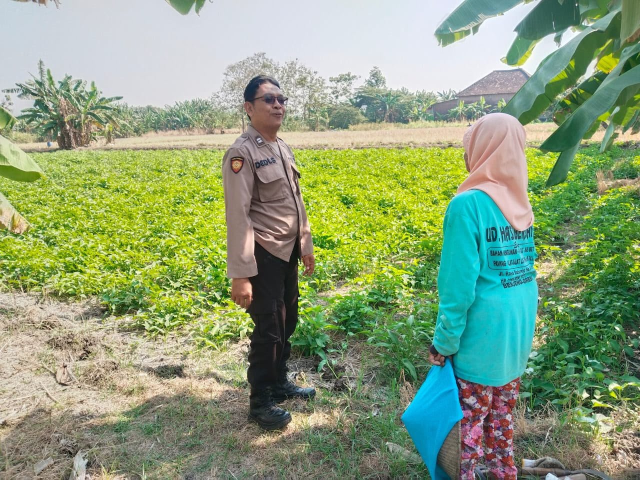 Polres Gresik Dorong Swasembada Pangan melalui Pengecekan Tanaman Kangkung