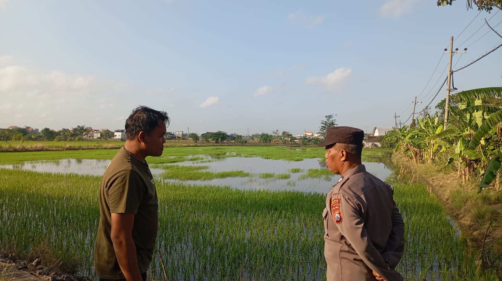 Polsek Duduksampeyan Perkuat Pendampingan Petani, Cek Tanaman Padi untuk Ketahanan Pangan