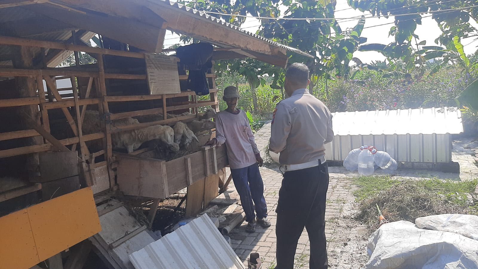 Jaga Produktivitas Ternak, Polsek Kebomas Pantau Peternakan Kambing di Dahanrejo