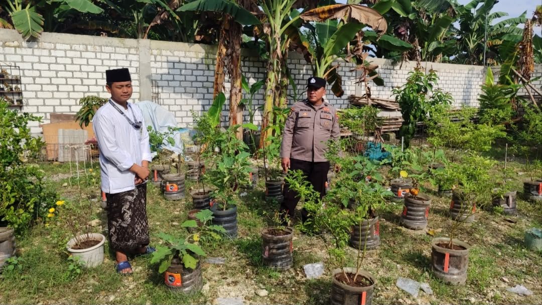 Budidaya Lombok Warga Masangan Dipantau Polsek Bungah, Dukung Swasembada Pangan