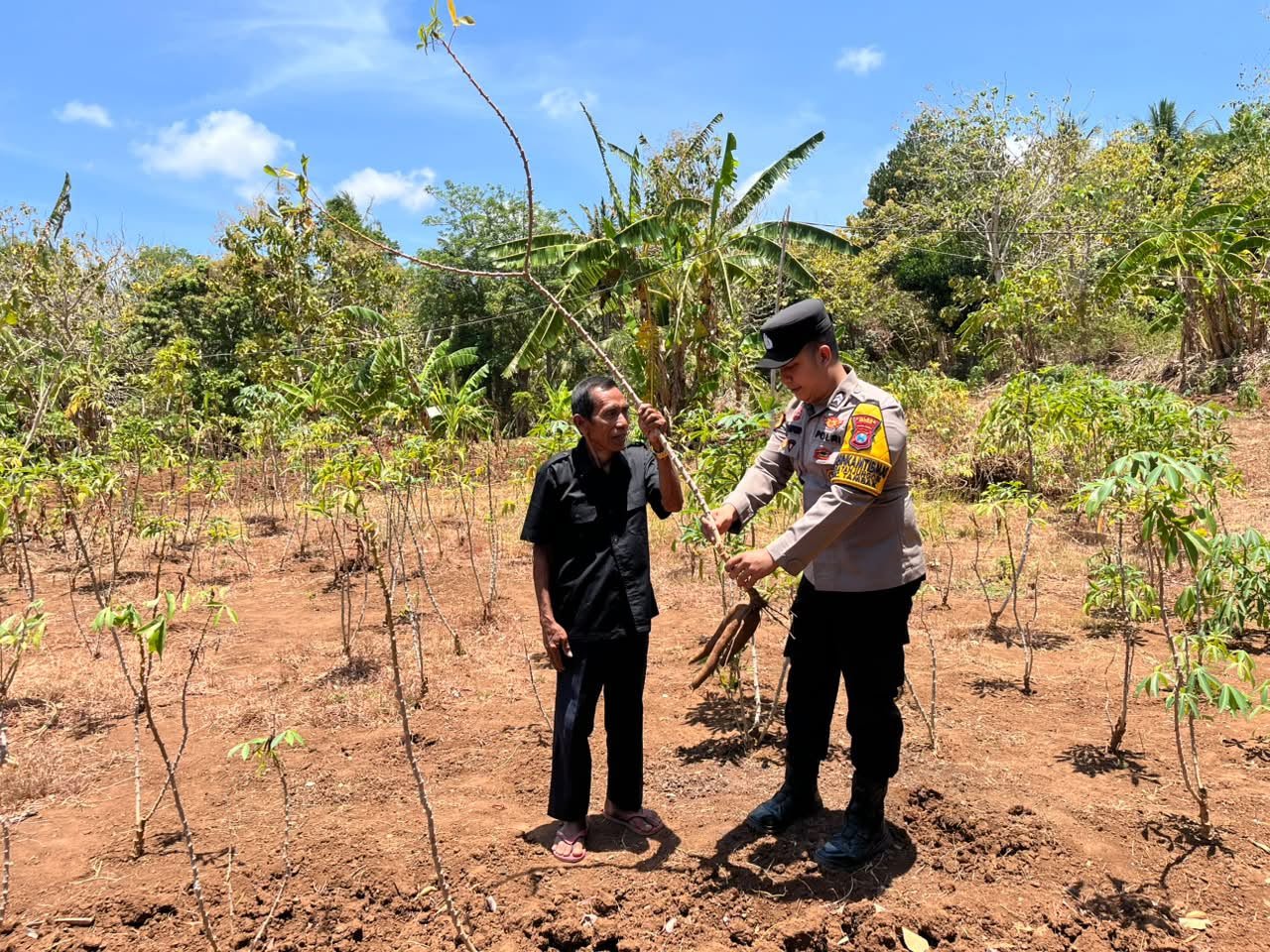 Dukung Program Ketahanan Pangan Nasional, Polsek Tambak Monitoring Tanaman Ubi Kayu