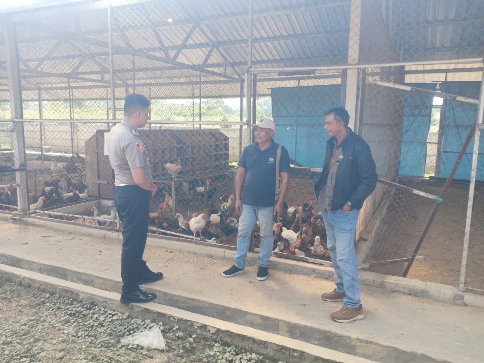 Dukung Ketahanan Pangan Nasional, Polsek Kedamean Cek Peternakan Ayam di Desa Sidoraharjo