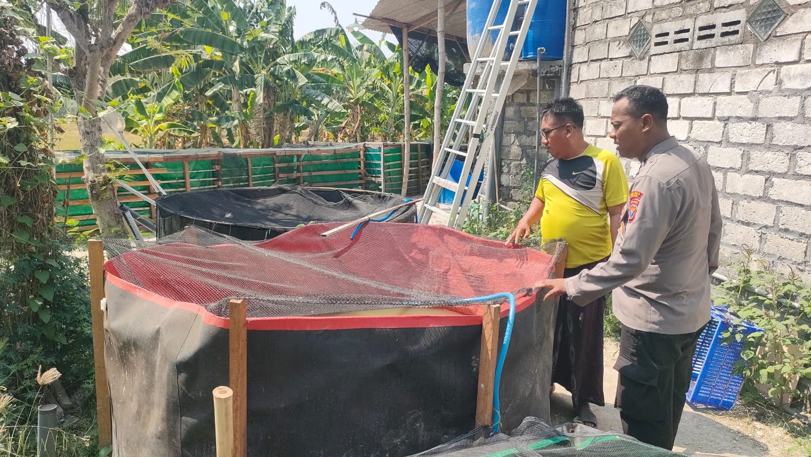 Dukung Ketahanan Pangan Nasional, Polsek Sidayu Cek Budidaya Kolam Ikan Lele di Desa Ngawen