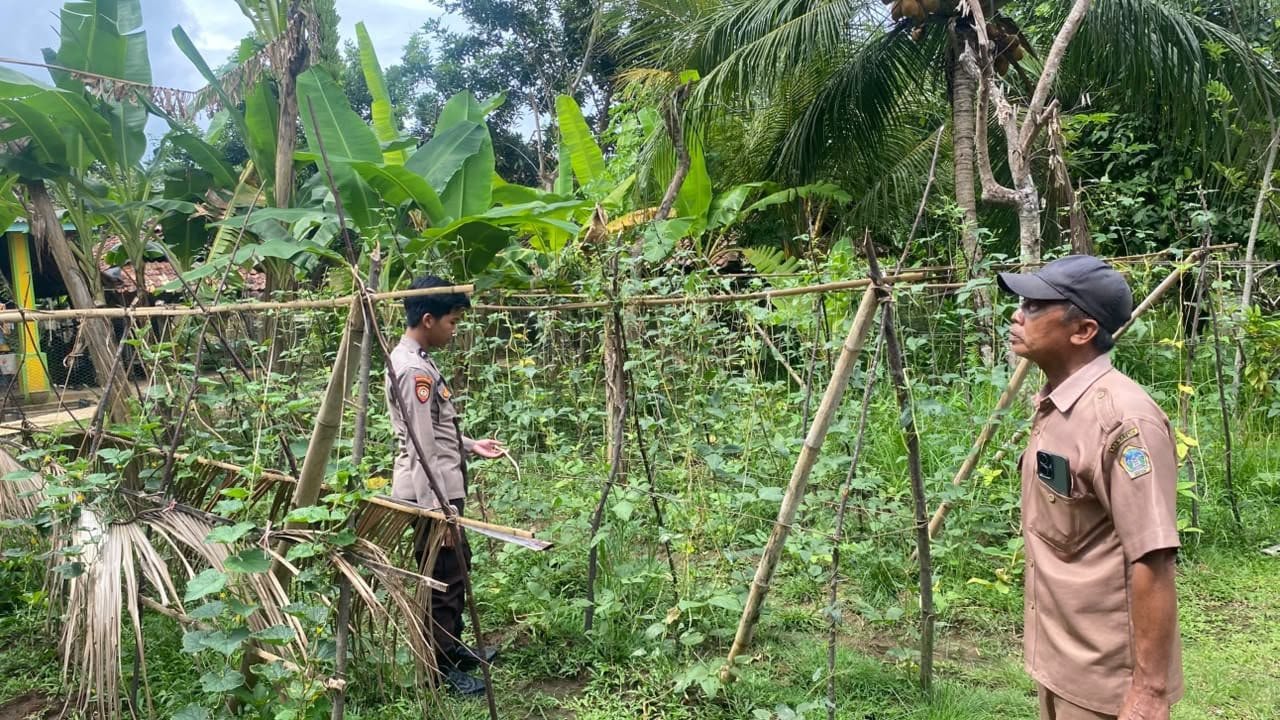 Perkuat Ketahanan Pangan Lokal, Polsek Sangkapura Cek Pertumbuhan Kacang Panjang